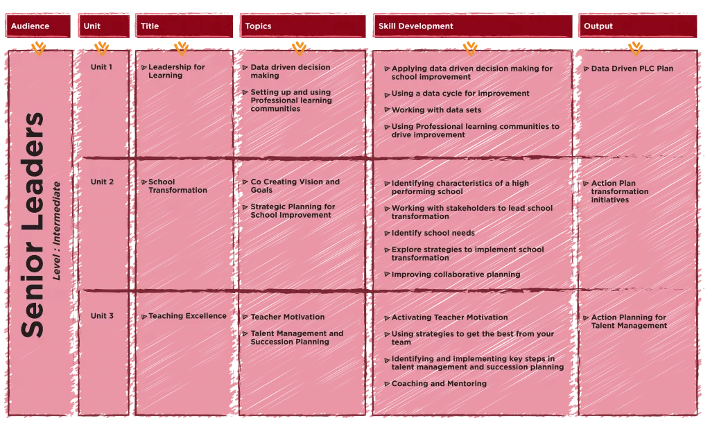 Intermediate level course breakdown for senior leaders: three units with titles, topics, skill development and outputs